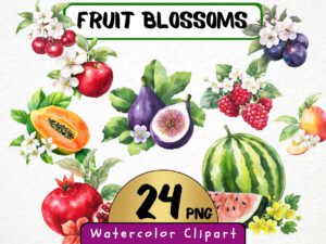 Watercolor Fruit Blossoms Clipart 24 Png, Apple Illustration, Fruit Flower Collection, Summer Berry Instant Digital Download, Card Making