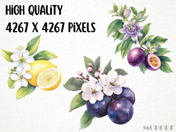 Watercolor Fruit Blossoms Clipart 24 Png, Apple Illustration, Fruit Flower Collection, Summer Berry Instant Digital Download, Card Making - Image 2