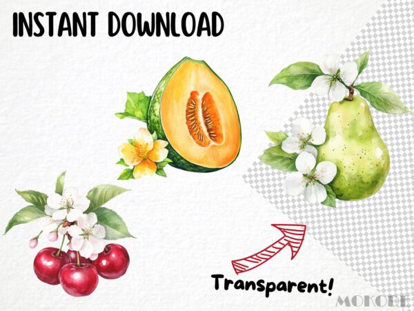 Watercolor Fruit Blossoms Clipart 24 Png, Apple Illustration, Fruit Flower Collection, Summer Berry Instant Digital Download, Card Making - Image 6