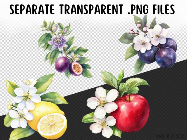 Watercolor Fruit Blossoms Clipart 24 Png, Apple Illustration, Fruit Flower Collection, Summer Berry Instant Digital Download, Card Making - Image 9