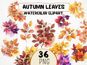 Watercolor Autumn Leaves Clipart 36 Png, Fall Leaves Season Graphics, Autumn Crafting, Card Making, Mixed Media Fall Forest, Commercial Use