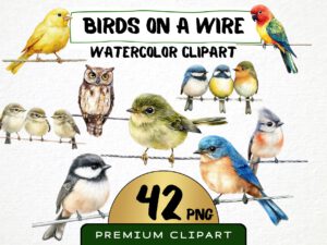 Birds on a Wire Clipart 42 Png, Watercolor Cute Bird Illustration, Songbird on Branch, Forest Birds Bluetit Collection, Digital Prints