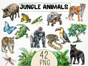 Watercolor Jungle Animals Clipart 42 Png, Tropical Jungle Gorilla, Tiger, Toucan, Snake, Cute Monkey illustration, Commercial Use, Nursery