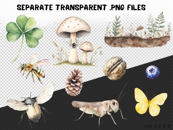 Cute Tiny Forest Life Clipart 72 Png, Watercolor Mini Insects Nursery, Digital Download, Ladybug, Small Ants png, Commercial Use - Image 9