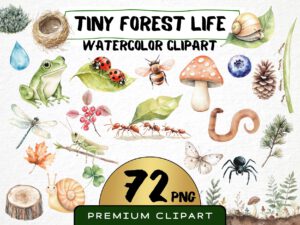 Cute Tiny Forest Life Clipart 72 Png, Watercolor Mini Insects Nursery, Digital Download, Ladybug, Small Ants png, Commercial Use