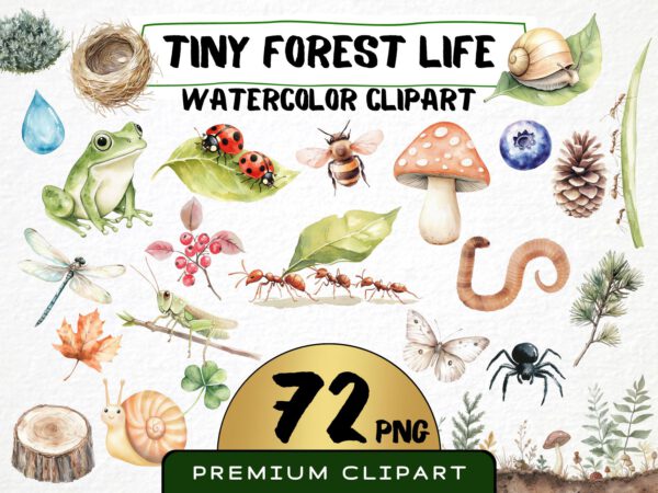 Cute Tiny Forest Life Clipart 72 Png, Watercolor Mini Insects Nursery, Digital Download, Ladybug, Small Ants png, Commercial Use