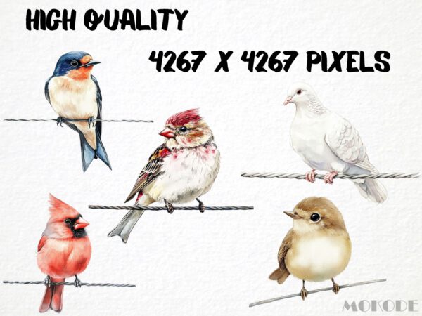 Birds on a Wire Clipart 42 Png, Watercolor Cute Bird Illustration, Songbird on Branch, Forest Birds Bluetit Collection, Digital Prints - Image 2