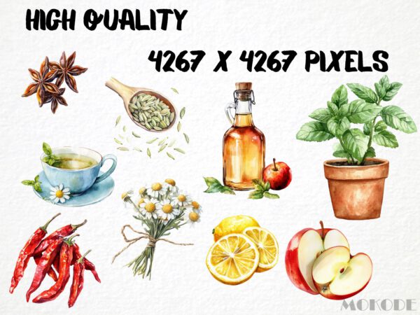 Watercolor Natural Remedies Clipart 66 Png, Homemade Medicine, Cooking Ingredients, Vegetable Food, Herbs Art Digital Prints, Commercial Use - Image 2