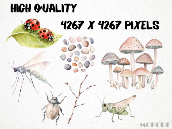 Cute Tiny Forest Life Clipart 72 Png, Watercolor Mini Insects Nursery, Digital Download, Ladybug, Small Ants png, Commercial Use - Image 2