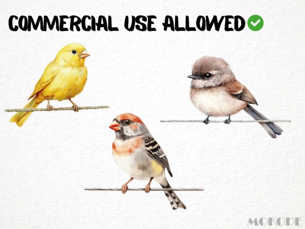 Birds on a Wire Clipart 42 Png, Watercolor Cute Bird Illustration, Songbird on Branch, Forest Birds Bluetit Collection, Digital Prints - Image 9
