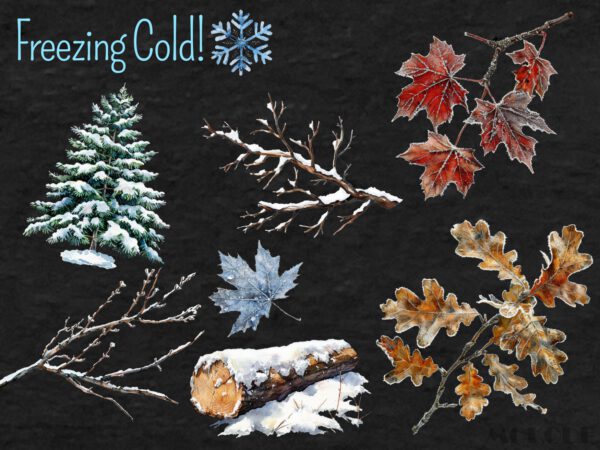 Watercolor Winter Forest Clipart 74 Png, Frosty Twigs & Logs Crafting, Snowy Pine Tree Cone, Pine Needle, Icy Leaf, Cold Nature, Download - Image 5