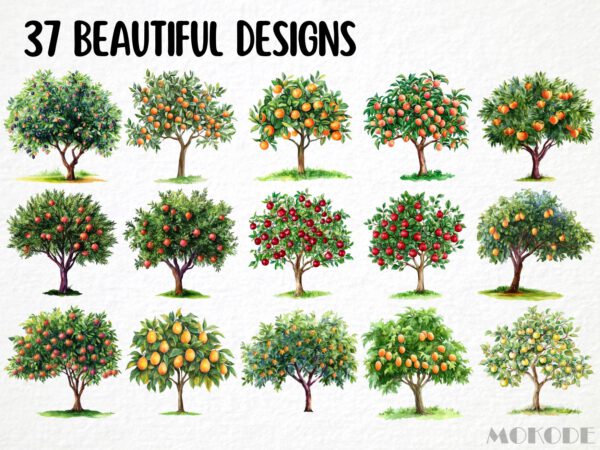 Fruit Trees Clipart 39 Png, Watercolor Summer Fruits Garden, Home Grown Apple Tree Instant Download, Scrapbook, Digital Art Commercial Use - Image 3
