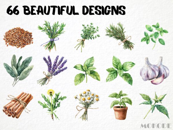 Watercolor Natural Remedies Clipart 66 Png, Homemade Medicine, Cooking Ingredients, Vegetable Food, Herbs Art Digital Prints, Commercial Use - Image 3