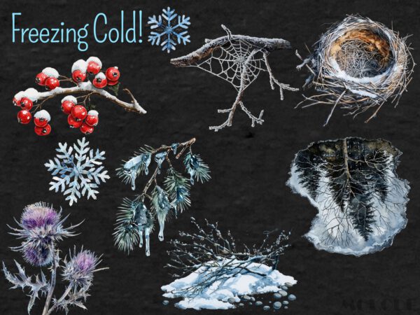 Watercolor Winter Forest Clipart 74 Png, Frosty Twigs & Logs Crafting, Snowy Pine Tree Cone, Pine Needle, Icy Leaf, Cold Nature, Download - Image 4