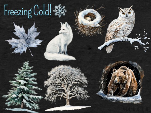 Watercolor Winter Woodland Clipart 76 Png, Snowy Forest Animals, Winter Fox, Owl, Deer, Frosty Pine Tree Cone, Commercial Use, Download - Image 6