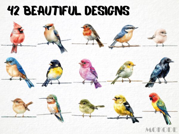Birds on a Wire Clipart 42 Png, Watercolor Cute Bird Illustration, Songbird on Branch, Forest Birds Bluetit Collection, Digital Prints - Image 7