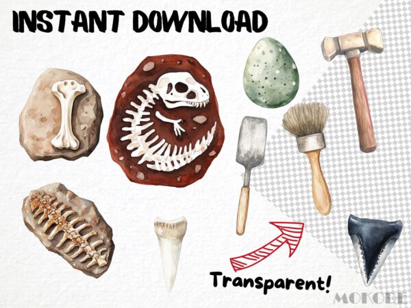 Watercolor Fossil Explorers Clipart 55 Png Cute Nursery Dino Bones Peleontology Clipart, Fossilized Stone, T-rex Dinosaur Instant Download - Image 5