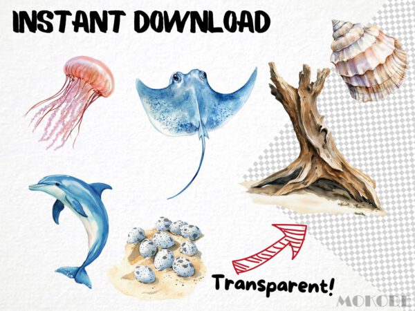 Watercolor Beach Nature Clipart 61 Png, Tropical Ocean, Summer Png, Marine Life Digital Prints, Commercial Use, Card Making Instant Download - Image 5