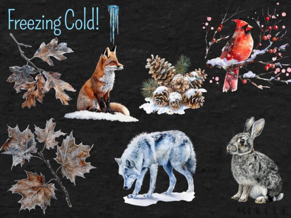 Watercolor Winter Woodland Clipart 76 Png, Snowy Forest Animals, Winter Fox, Owl, Deer, Frosty Pine Tree Cone, Commercial Use, Download - Image 5