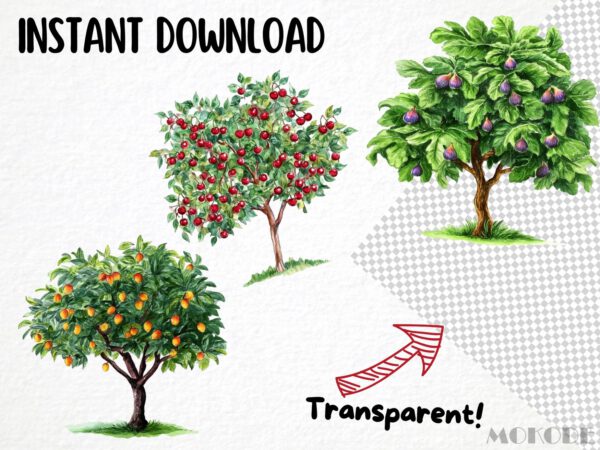 Fruit Trees Clipart 39 Png, Watercolor Summer Fruits Garden, Home Grown Apple Tree Instant Download, Scrapbook, Digital Art Commercial Use - Image 6