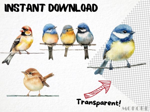 Birds on a Wire Clipart 42 Png, Watercolor Cute Bird Illustration, Songbird on Branch, Forest Birds Bluetit Collection, Digital Prints - Image 6