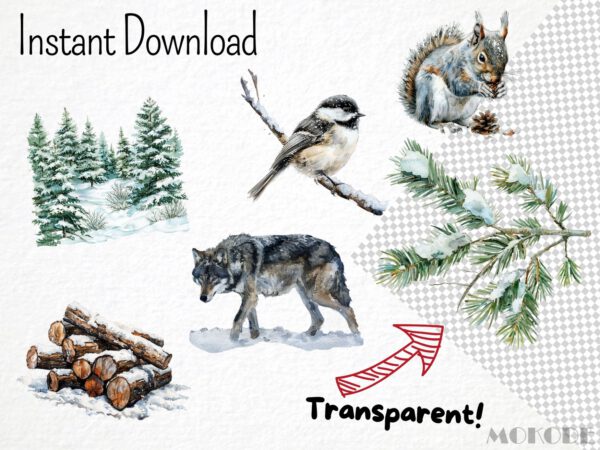 Watercolor Winter Woodland Clipart 76 Png, Snowy Forest Animals, Winter Fox, Owl, Deer, Frosty Pine Tree Cone, Commercial Use, Download - Image 7