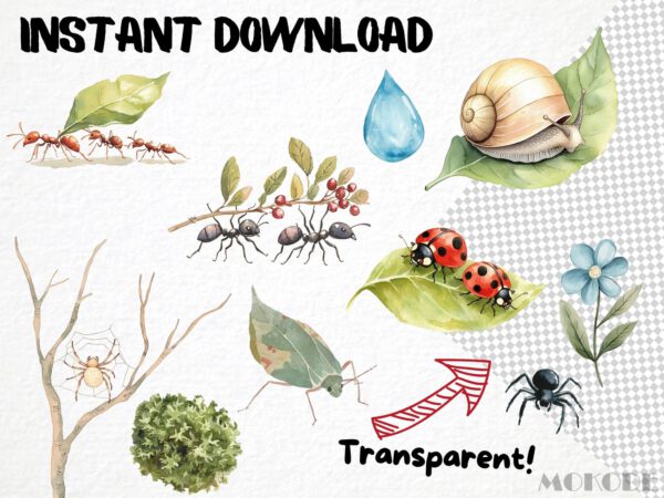 Cute Tiny Forest Life Clipart 72 Png, Watercolor Mini Insects Nursery, Digital Download, Ladybug, Small Ants png, Commercial Use - Image 5
