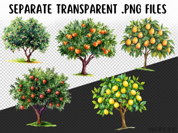Fruit Trees Clipart 39 Png, Watercolor Summer Fruits Garden, Home Grown Apple Tree Instant Download, Scrapbook, Digital Art Commercial Use - Image 9