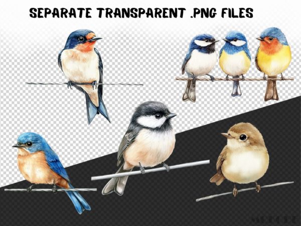Birds on a Wire Clipart 42 Png, Watercolor Cute Bird Illustration, Songbird on Branch, Forest Birds Bluetit Collection, Digital Prints - Image 3