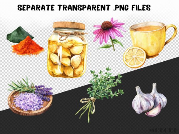 Watercolor Natural Remedies Clipart 66 Png, Homemade Medicine, Cooking Ingredients, Vegetable Food, Herbs Art Digital Prints, Commercial Use - Image 9